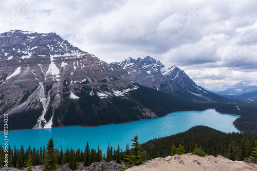 The bluest lake in the Rocky Mountains. Peyto Lake in Jasper. There are mountains dusted with snow and a ton of trees surround the lake.