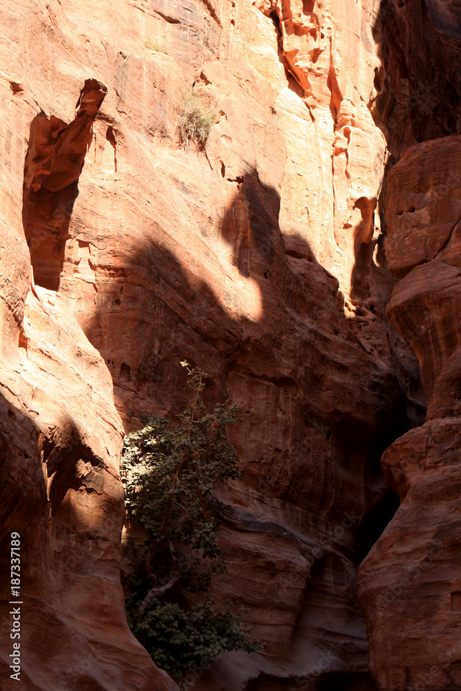 The walls of the Siq, narrow passage that leads to Petra, Jordan