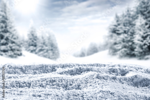 winter background of snow and frost 