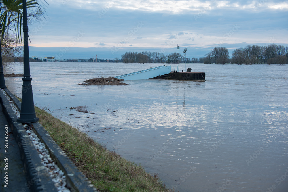 Hochwasser im Winter am Rhein mit Schiffsbrücke und Treibgut