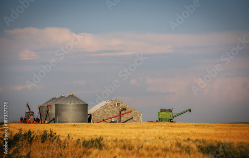 A storage shed with grain bins and a tractor and farm equipment behind a golden field of wheat in a rural summer countryside landscape © kat7213
