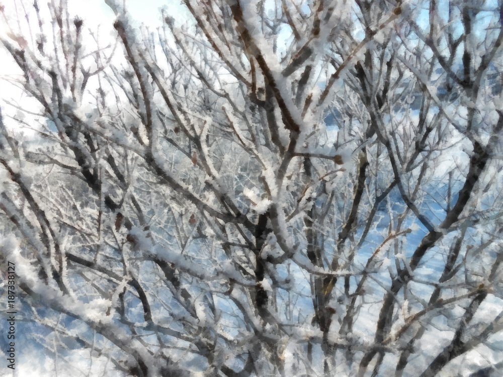 A winter clear day, a rural landscape with a rustic garden covered with snow. frozen branches of trees. Photo manipulation illustration A winter clear day, a rural landscape with a rustic garden covered with snow. frozen branches of trees. Photo manipulation illustration