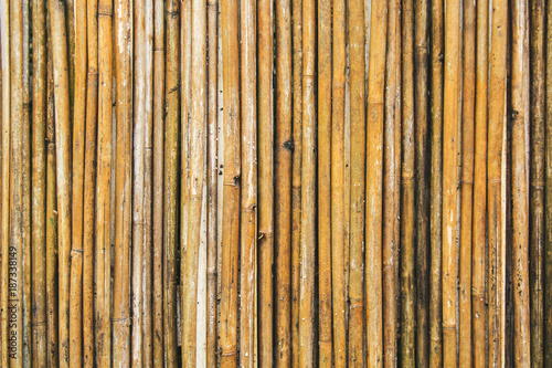 Old yellow bamboo fence texture  bamboo background  texture background  bamboo forest