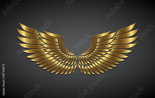 Wings from gold on a gray background.