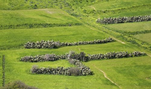 Landscape near Victoria. Gozo island. Malta