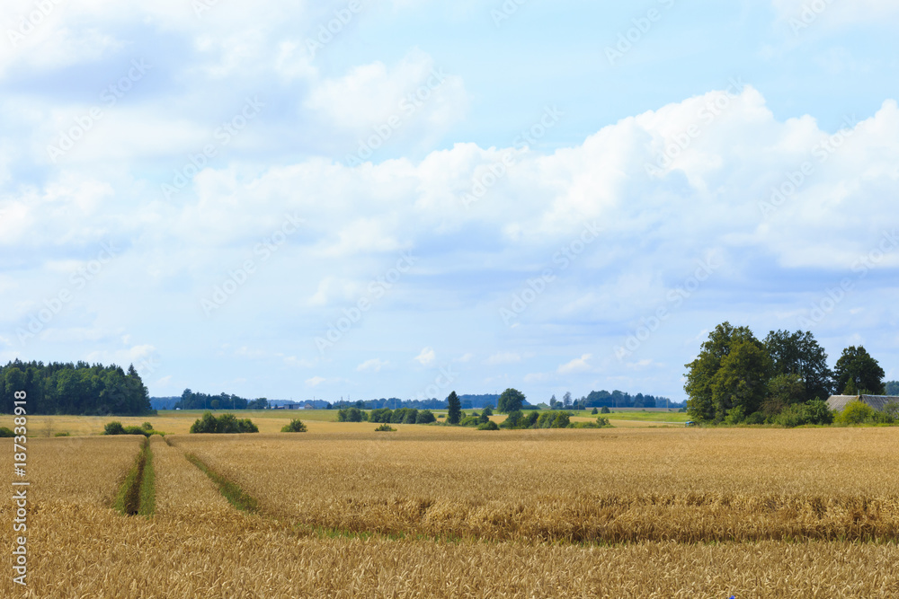 The photo shows the farmlands.