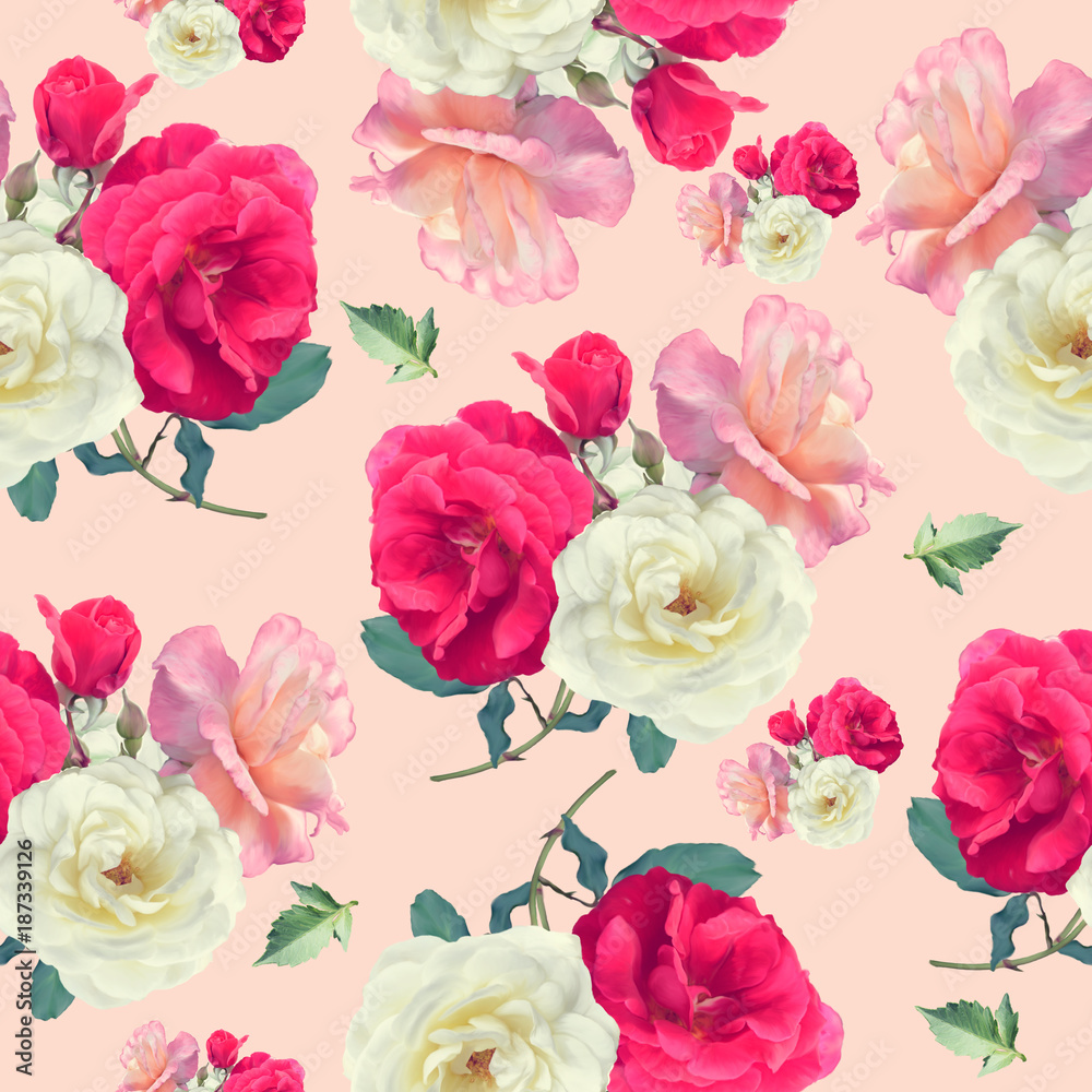 seamless   pattern of rose flowers