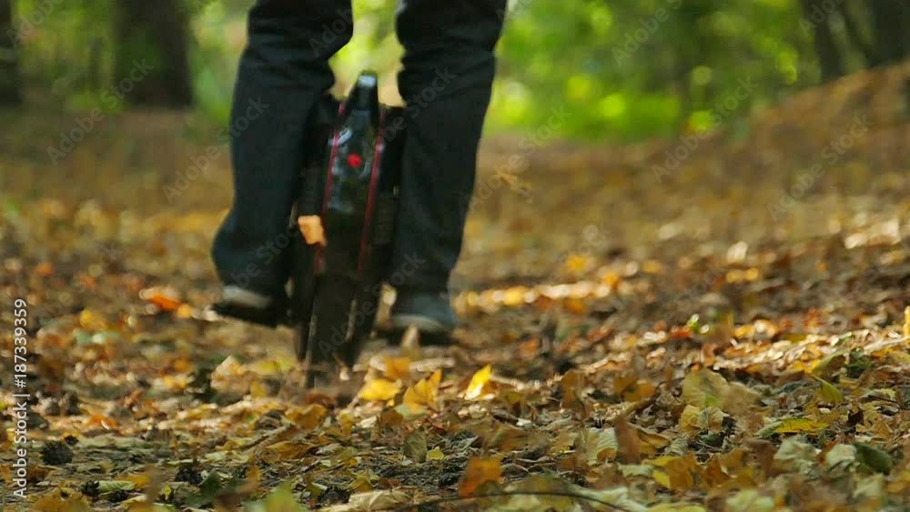 Slow motion. Mono wheel in autumn wood, leaves scatter
Slow motion. Mono wheel in autumn wood, leaves scatter