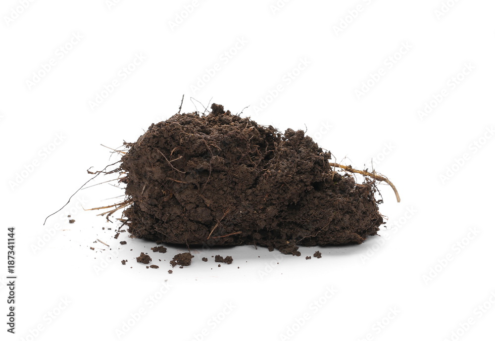 Pile of soil isolated on white background Pile of soil isolated on white background