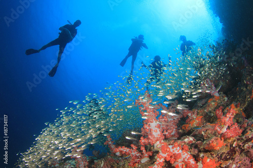 Scuba dive coral reef underwater