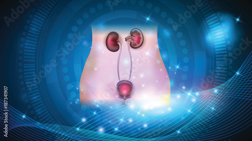 Kidneys and urinary bladder health care on a glowing abstract background