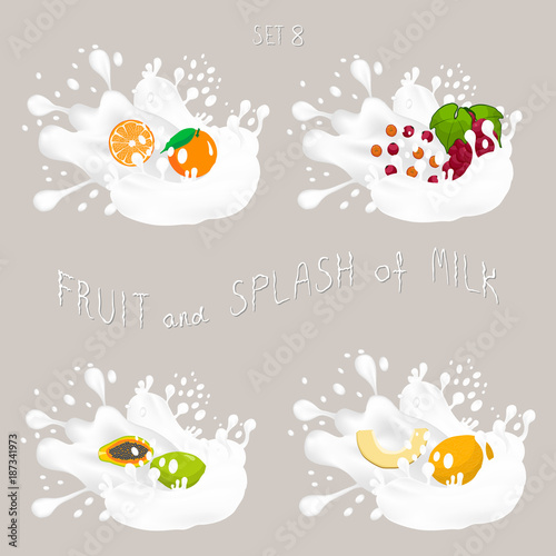 Vector illustration for set fruits