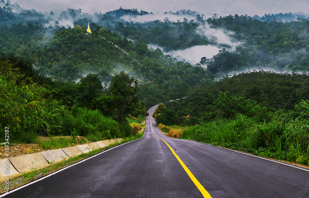 Fototapeta premium oad and stupa on mountains.