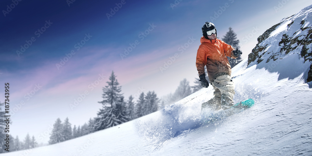 winter skier 