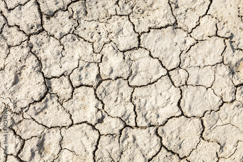 The texture of the ground with cracks. Dry cracked soil in hot summer day, close-up