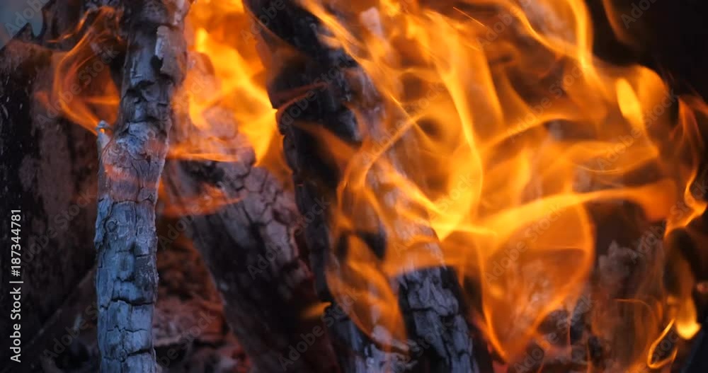 logs of wood burn in the fire logs of wood burn in the fire