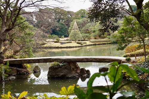Fototapeta Naklejka Na Ścianę i Meble -  日本庭園と滝と紅葉