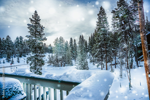 Frozen wonderland in Colorado State photo