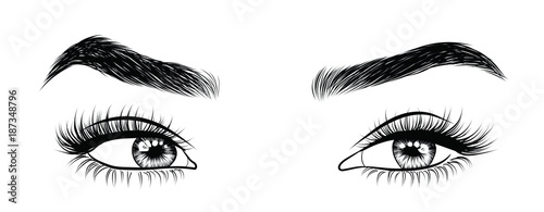 Hand-drawn woman's sexy luxurious eye with perfectly shaped eyebrows and full lashes. Idea for business visit card, typography vector. Perfect salon look.