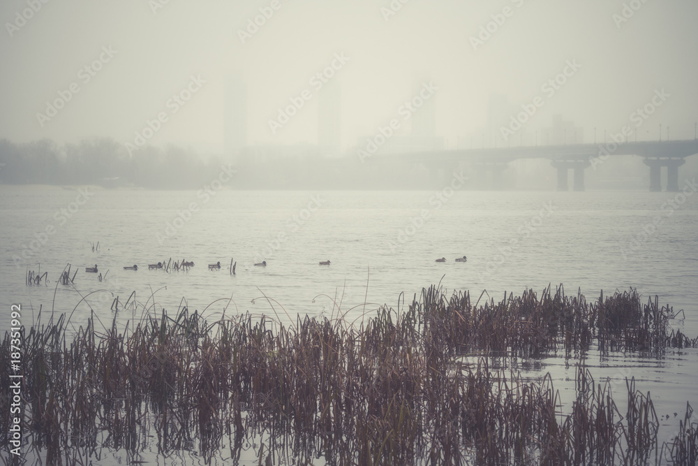 View of the Paton bridge and Dnieper river in dense fog, misty landscape, Kyiv the capital of Ukraine, Eastern Europe