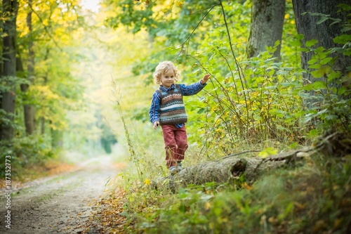 Young blonde boy with long curly hair playing in outdoor in autumnal forest. © milosz_g