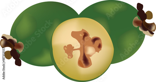 frutto della feijoas esotico verde feijoa