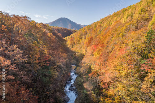 Nakatsugawa gorge at Fukushima in autumn