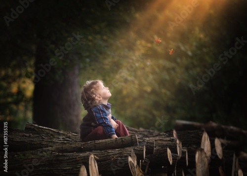 Young caucasian boy wathing falling leaves in autumn. Curly hair boy photo