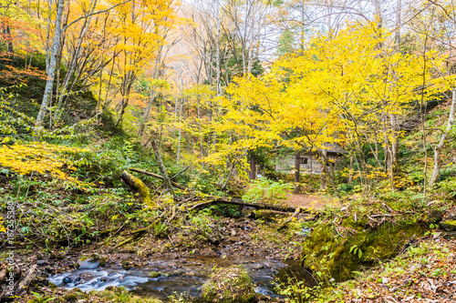 Tatsuzawafudo Falls at Fukushima in autumn