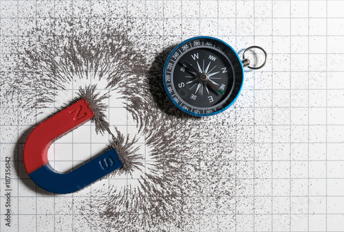 Red and blue horseshoe magnet or physics magnetic and compass with iron powder magnetic field on white paper graph background. Scientific experiment in science class in school.