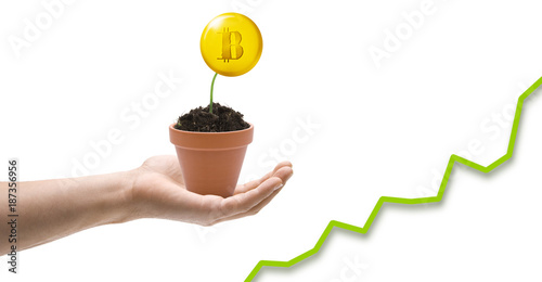Coin im Blumentopf