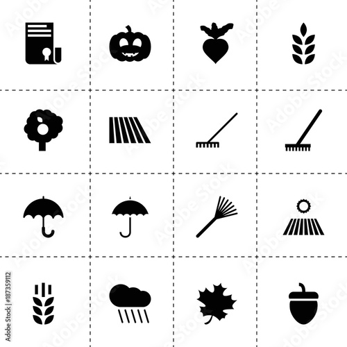 Autumn icons. vector collection filled autumn icons