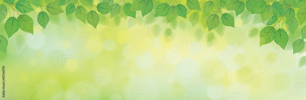 Vector green leaves border on green bokeh background. Vector green leaves border on green bokeh background.