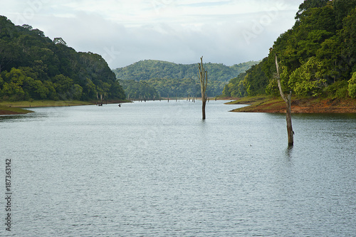 Periyar National Park , Periyar Tiger Reserve in Kerala India photo