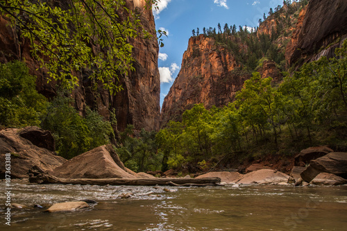 Obraz na płótnie Zion National Park