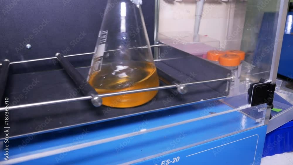 Flask in thermostat with shaker. A flask with e.coli cell culture