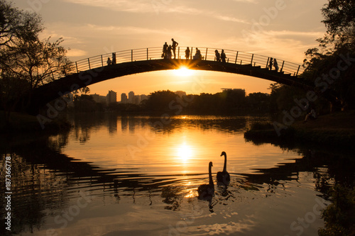People watching a colorful sunset by the lake, at Ibirapuera Park, Sao Paulo, Brazil photo