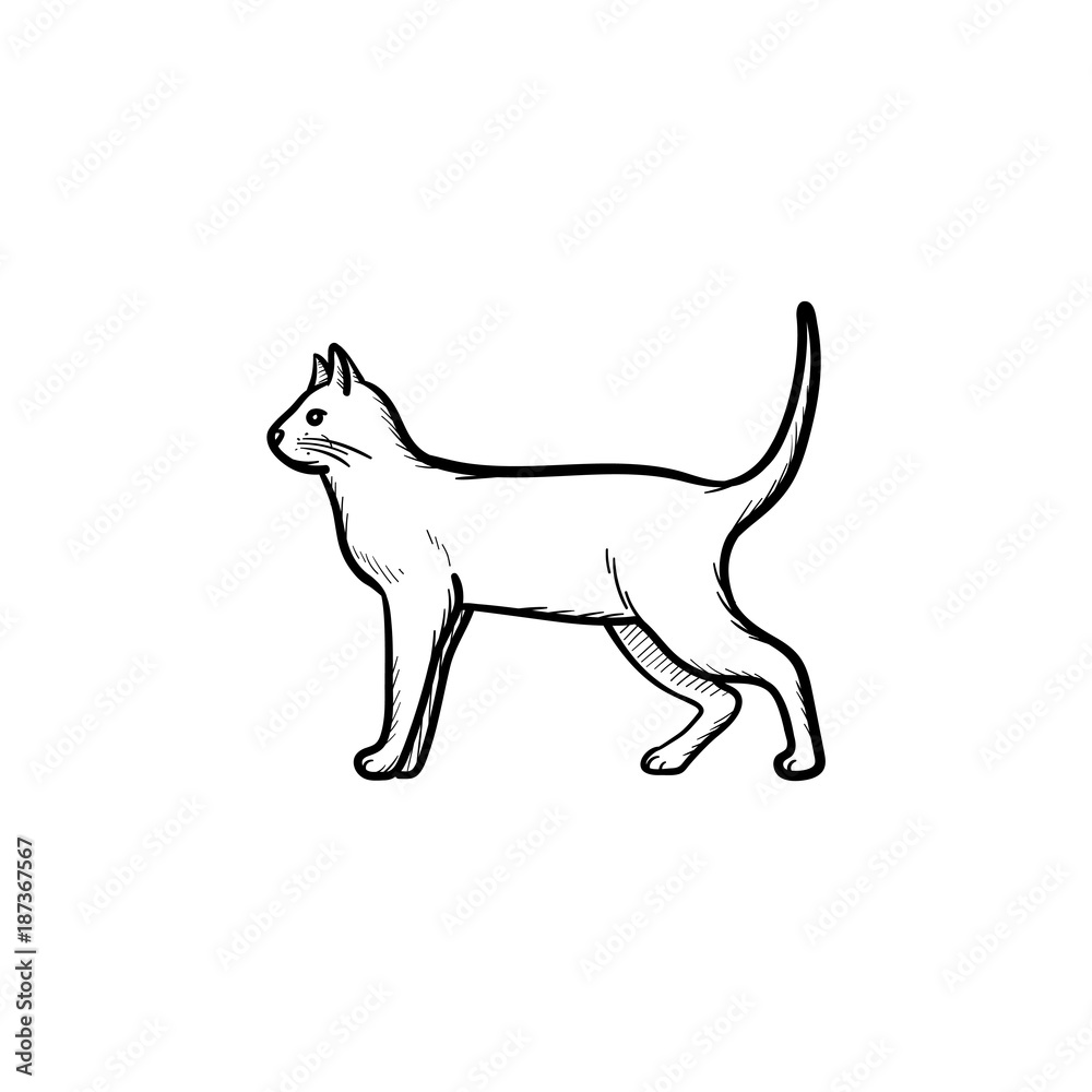 Vector hand drawn Cat outline doodle icon. Cat sketch illustration for print, web, mobile and infographics isolated on white background.