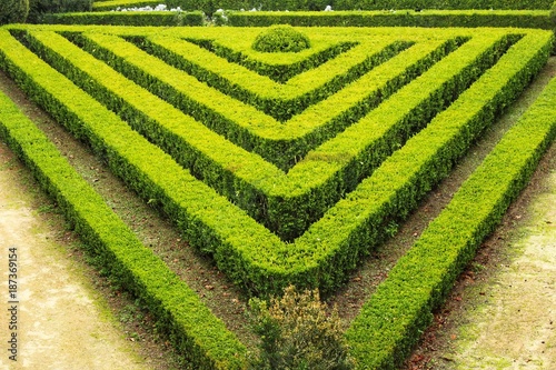 Topiary art garden in winter