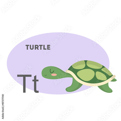Turtle on alphabet.