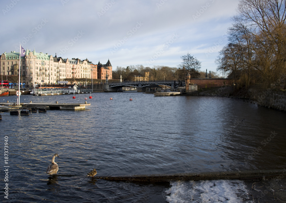 Fototapeta premium The bridge to Djugarden in Stockholm in winter