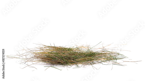 pile dry and green grass isolated on white background