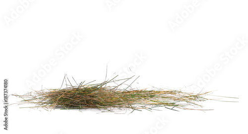 pile dry and green grass isolated on white background