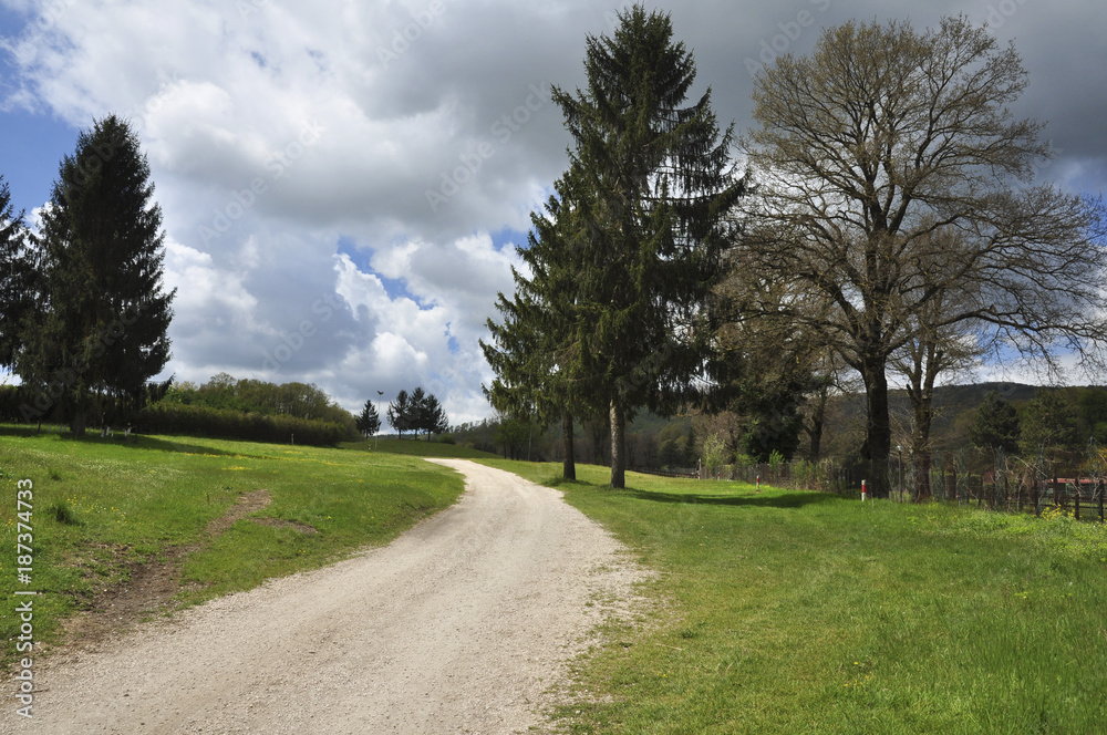 Percorso, sentiero su prato primaverile, in centro equestre con alberi, cielo azzurro e nuvole. Pratoni del Vivaro, Castelli Romani, Lazio, Italia