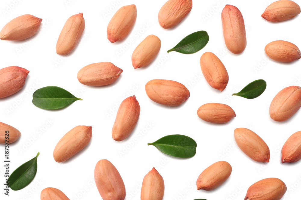 peanuts isolated on white background top view peanuts isolated on white background top view