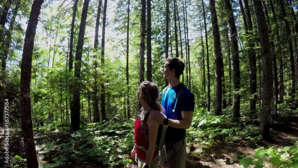 Couple pointing out at distance in the forest Couple pointing out at distance in the forest