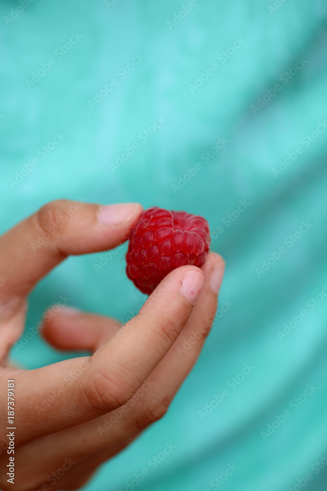Raspberry I Raspberry I