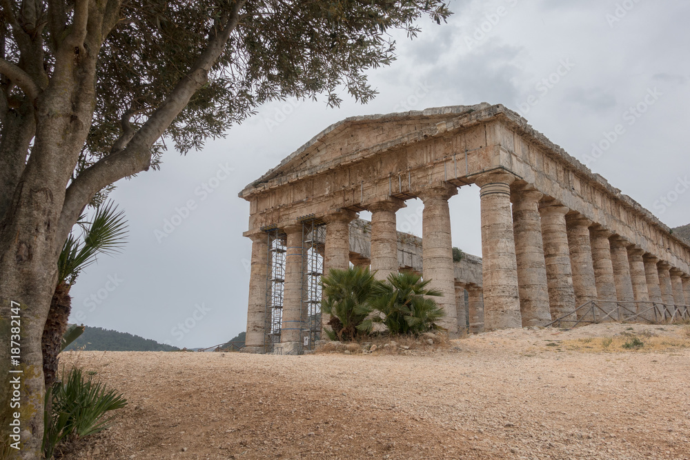 Roman temple under olive tree in Segesta