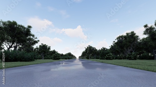Wet road in the forest 3D render photo
