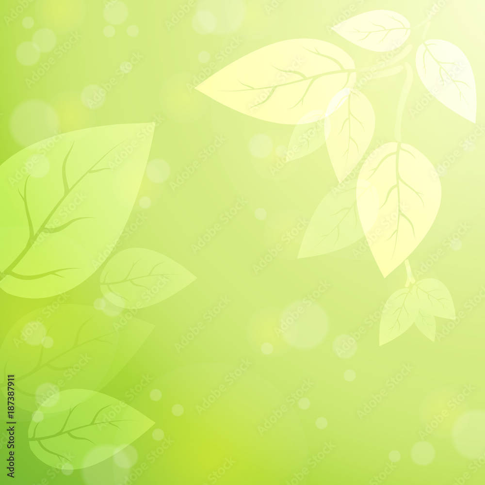 Fototapeta premium Shining green natural background with bokeh and leaves. Spring. Summer. Vector. Eps 10.